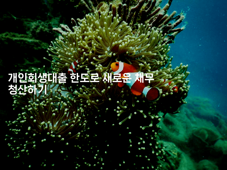 개인회생대출 한도로 새로운 채무 청산하기-웨폰뱅크