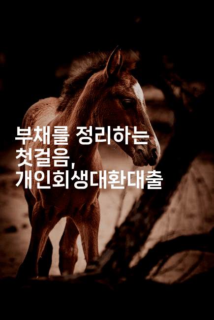 부채를 정리하는 첫걸음, 개인회생대환대출-웨폰뱅크